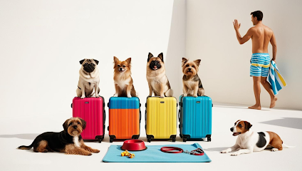 Top Dog Home Boarding & Daycare Peterborough