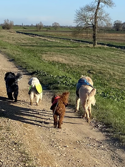 Wag n Purr Pet Services