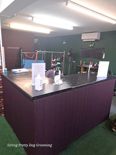 Sitting Pretty Dog Grooming