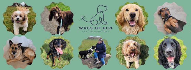 Wags of Fun