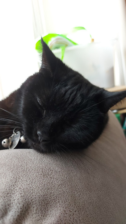 Paula's Pet Sitting Services