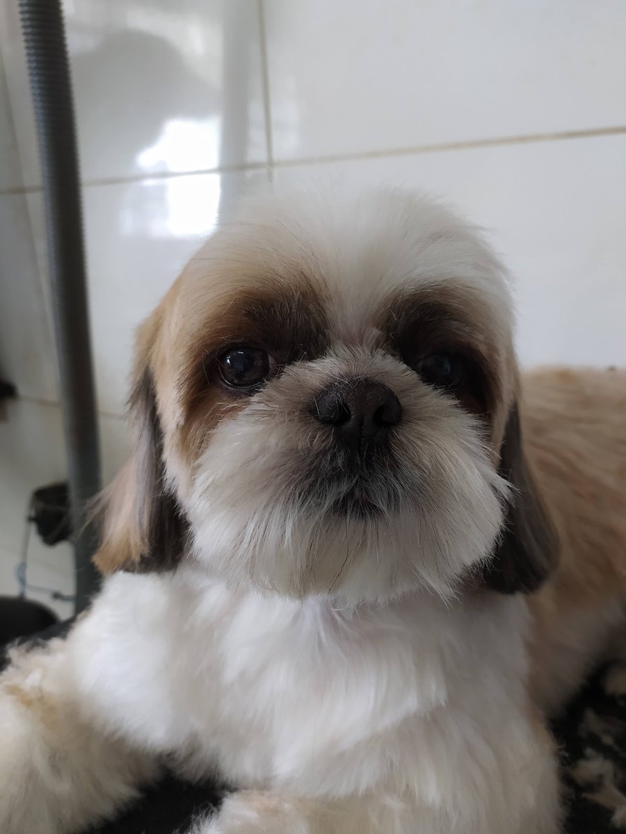 Clínica Veterinária Vetcenter - Formiga/MG