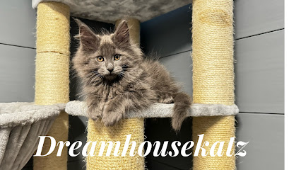 Dreamhousekatz