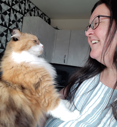 Gauldie's Cat Sitting Service - Dundee