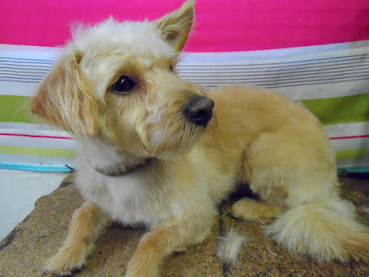 Mackenzie Family Dog Grooming