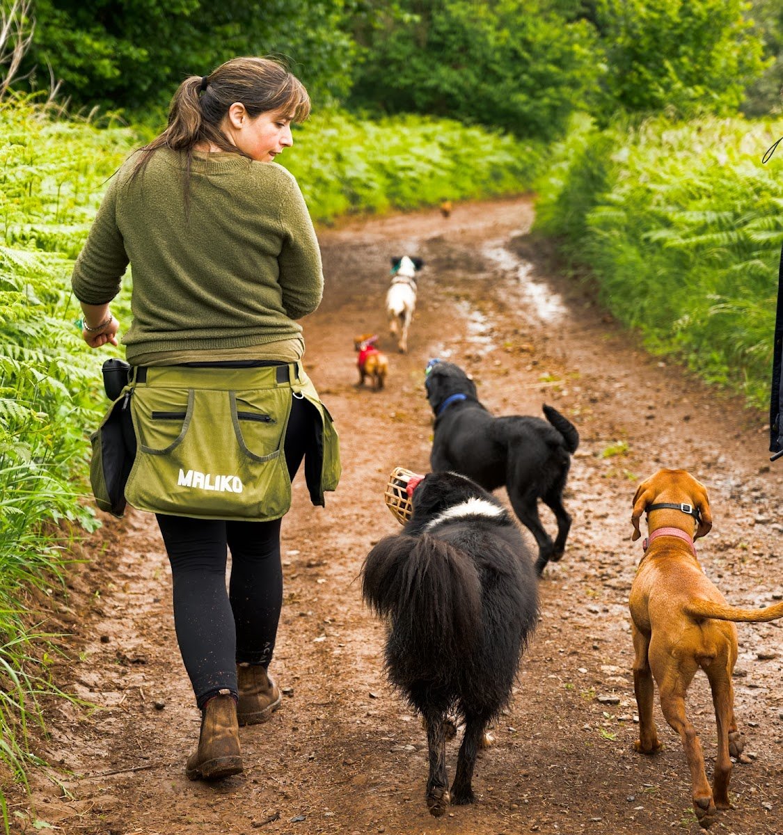 Honest Hounds - Photo 2