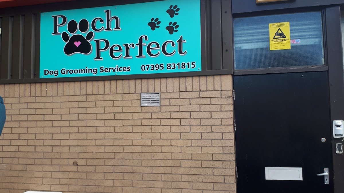 Pooch Perfect Dundee Ltd - Photo 2