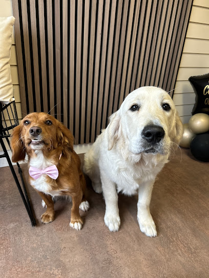 CoCo’s Dog Grooming