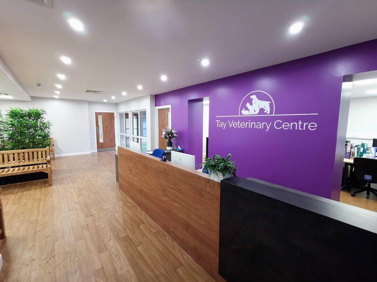 Tay Veterinary Centre - Photo 2
