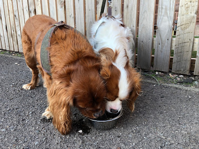 Pawsitive home with Adriana