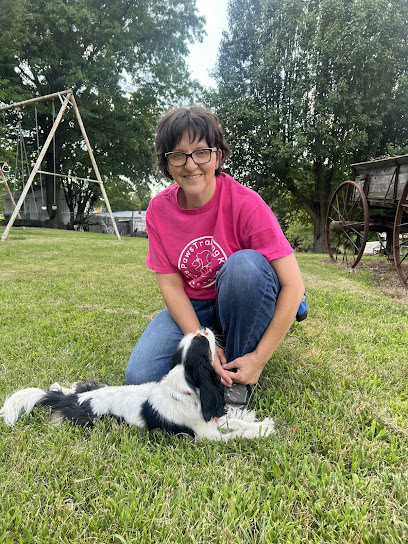 Divine Paws Training KC