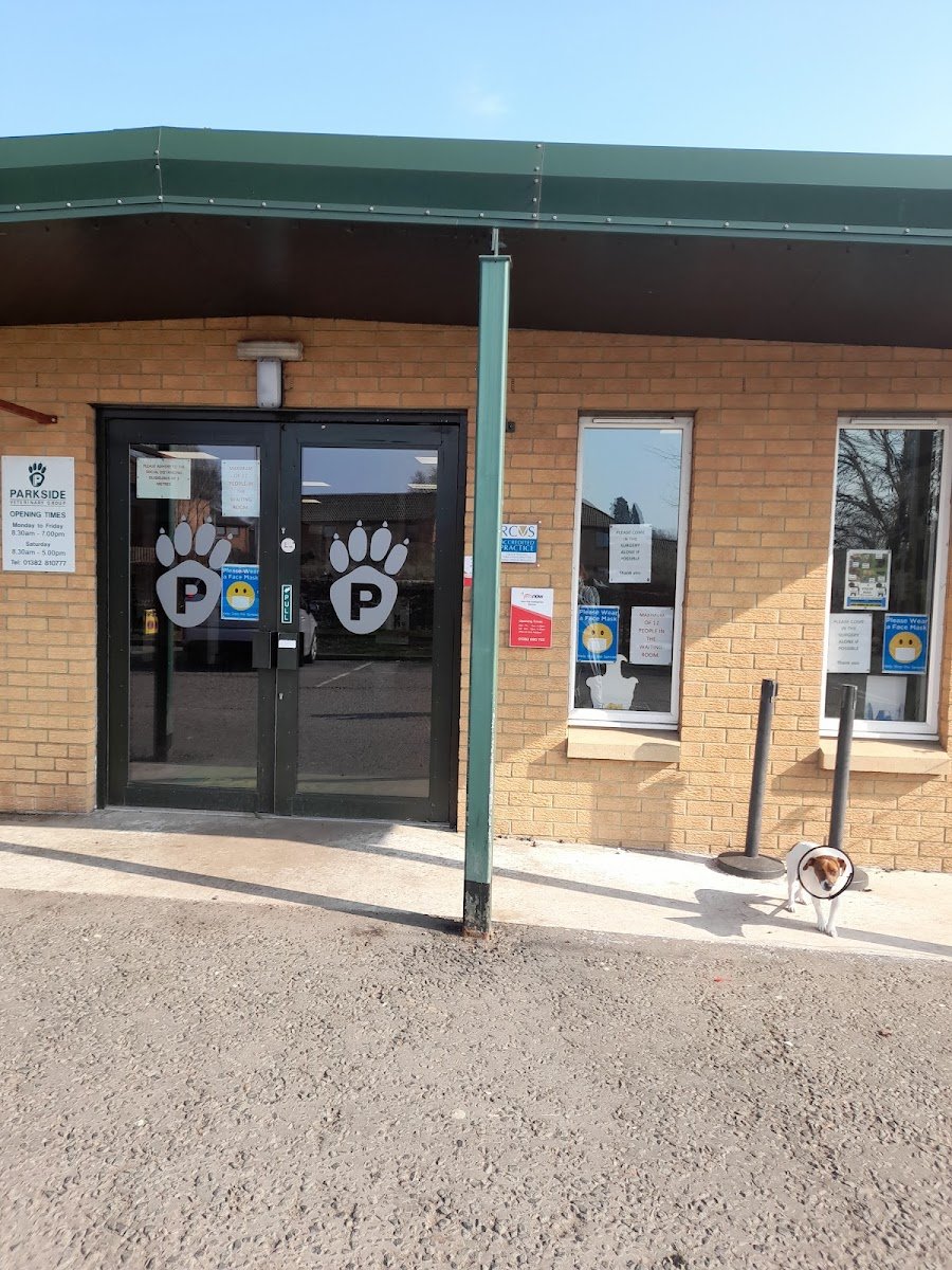Parkside Veterinary Group, Dundee Branch - Photo 2
