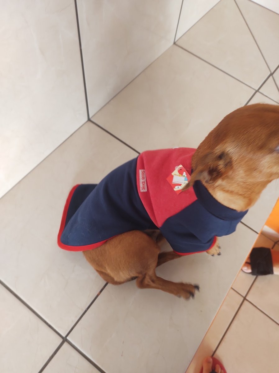 Rações Vip - Pet Shop em Mogi Guaçu
