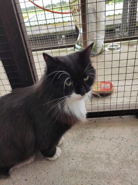 Angus Canine Centre & Cattery - Photo 2