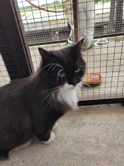 Angus Canine Centre & Cattery