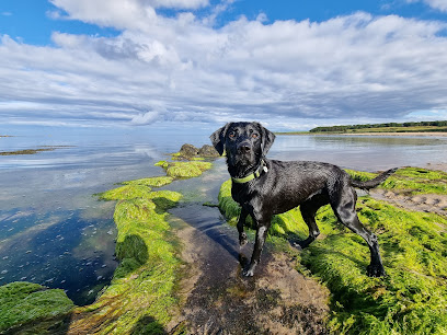 Barking Mad Fife & St. Andrews