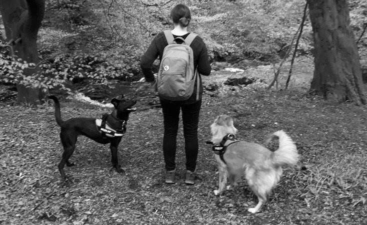 Ninja.Paws - Photo 2
