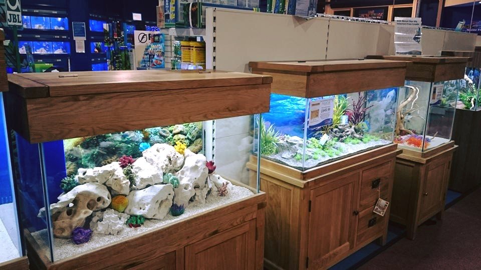 Dobbies Garden Centre Dundee - Photo 3