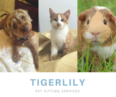 Tigerlily Pet Sitting Services - Dundee Cat Sitter