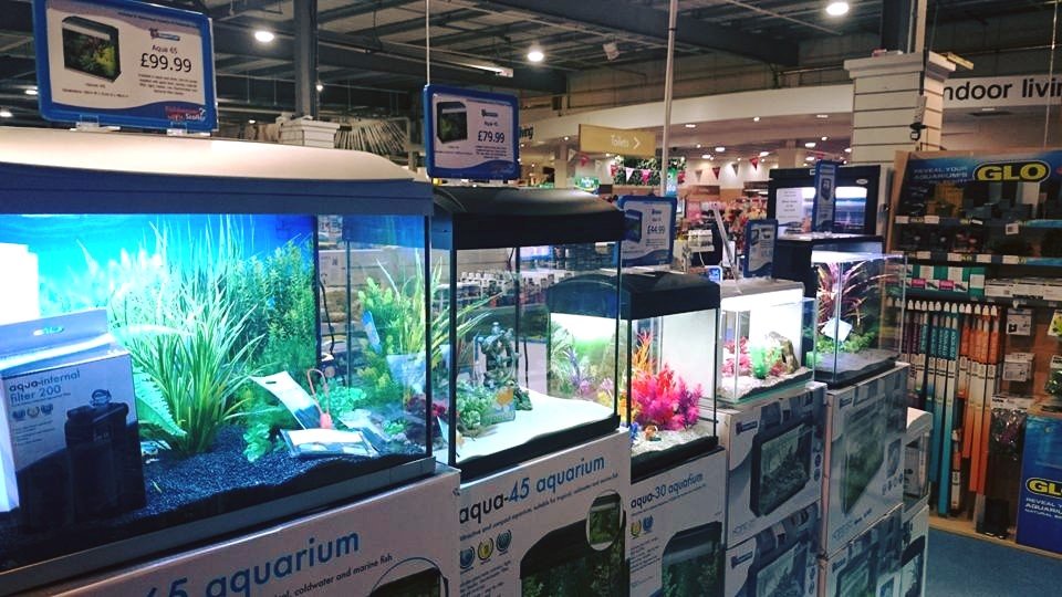 Fishkeeper Dundee - Photo 2
