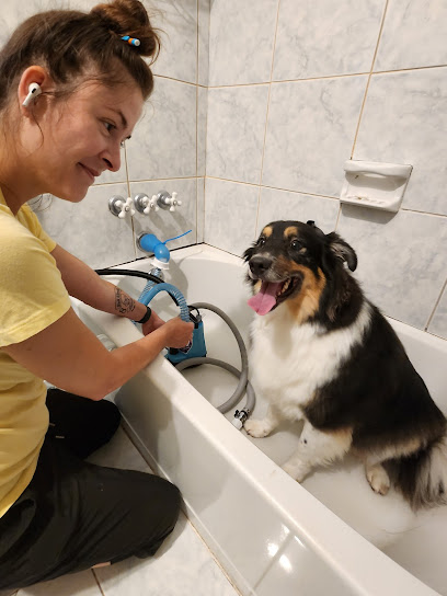 Furever Family Dog Care