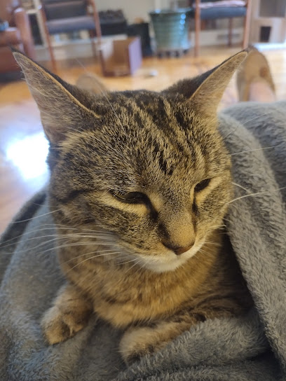 Antioch Dog and Cat Hospital