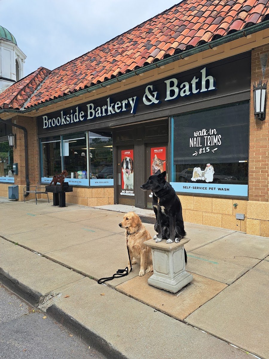 Brookside Barkery & Bath - Brookside - Photo 2