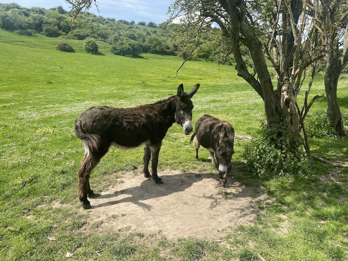 Mile Oak Farm - Photo 2