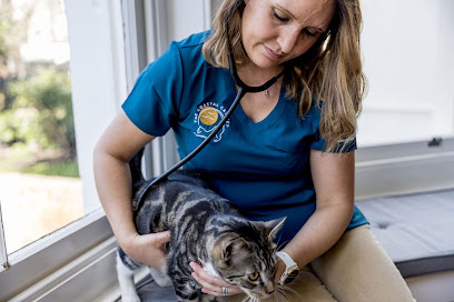 The Coastal Cat Vet
