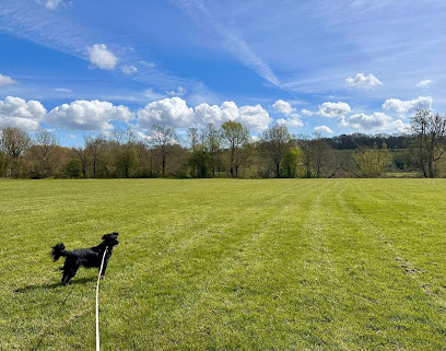 Andrea’s Dog Walking Uckfield