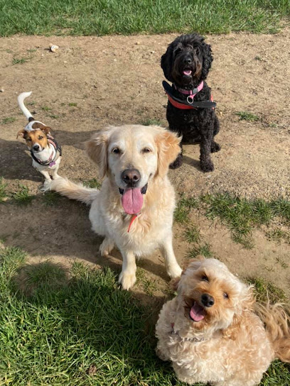 Taylors Pet Services