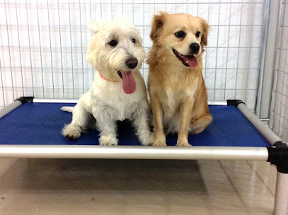 Hickman Mills Animal Hospital