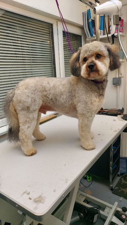 Brighton Groom House