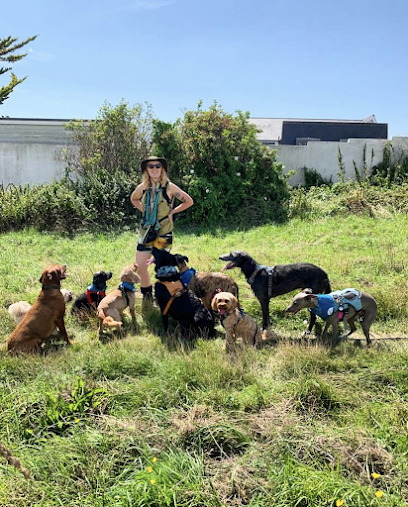 Pop Dog Walking Brighton