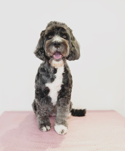 Mud Dog Grooming Studio