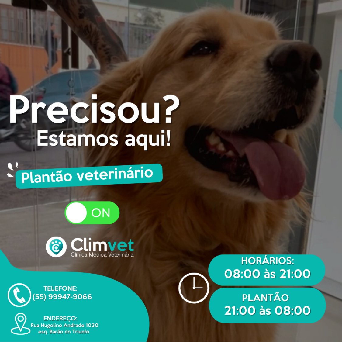 Climvet - Clínica médica Veterinária
