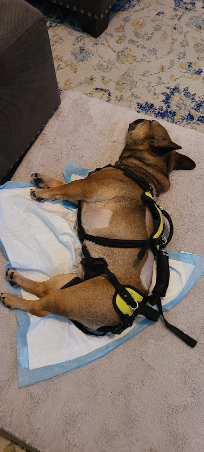 Lodge At Amity Woods Animal