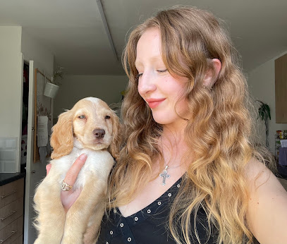 pilgrim's tail, the best pet sitter and dog walker in town!