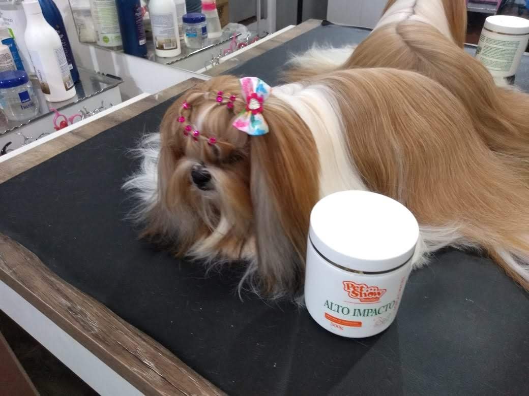 Teca Estética Animal - Pet Shop em Taquara