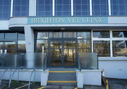 Brighton Vet Clinic