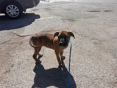 KC P.A.W.S. (Protective Animal Welfare Society) ; formerly A Dog's Fun Playce - Pet Shop in Kansas City