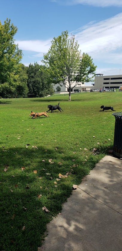 Penn Valley Off Leash Dog Park