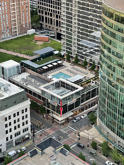 Residential Roof Top Dog Park - Pet Shop in Kansas City