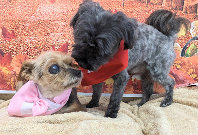 Dog's Tuxedo Groom & Spa