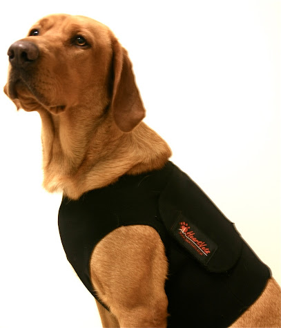 HeartVets @City Vets