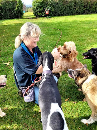 CityDogs Home from Home Dog Boarding