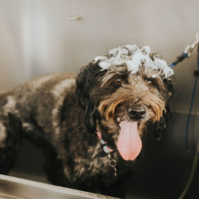 Syd's Doghouse & Spa