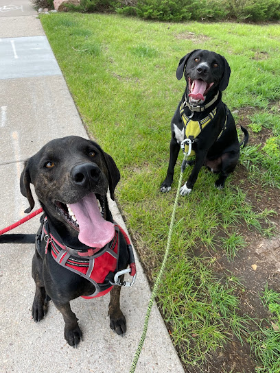 The Colorado Paws Pack LLC - Pet Shop in Colorado Springs