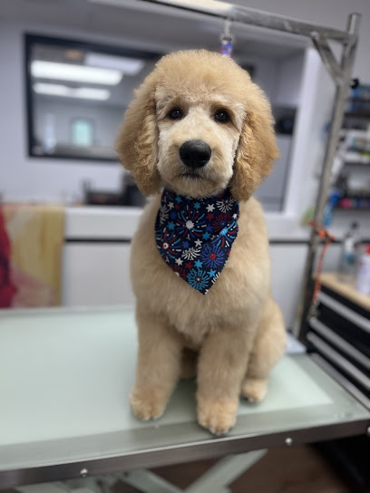 The Furologist Pet Grooming