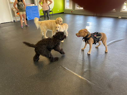 Mountain Paws Dog Training